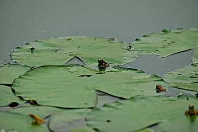 运用你的想象力《塞尔达传说：王国之泪》广告片
